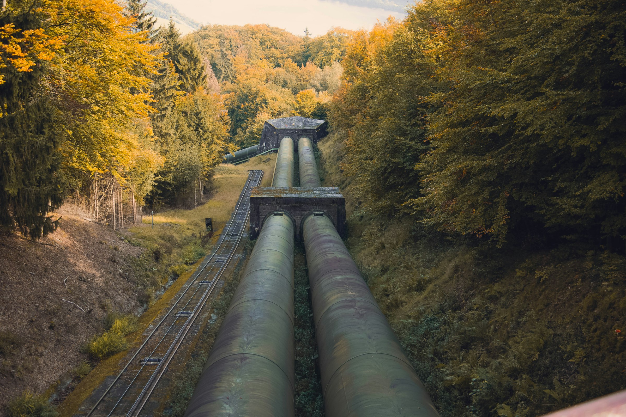 Product pipeline running through a forest